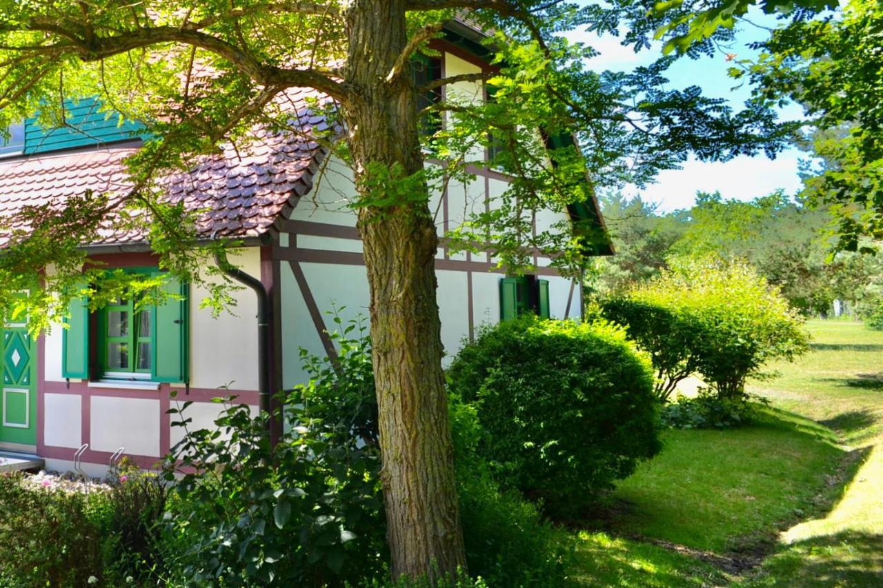 Strandnahe Ferienwohnung Ruegen Dranske Exterior photo